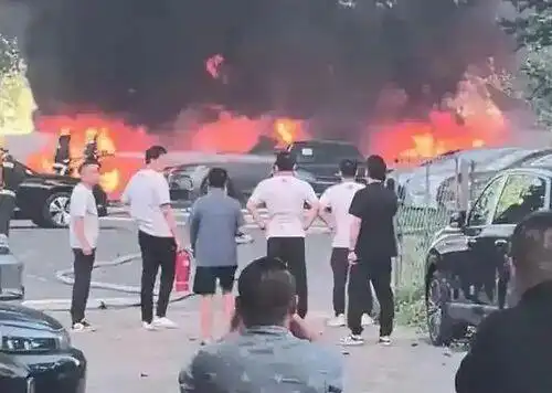 大连七旬男子点燃杨絮，20辆新能源汽车被烧毁！