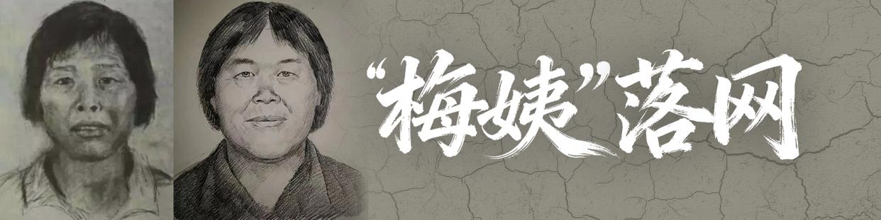 “梅姨案”已移送审查起诉！被拐孩子代理律师披露后续计划